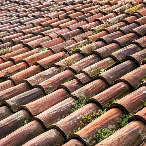 ramonéo entretien toiture